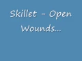 Download Lagu Skillet-Open Wounds