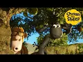 Download Lagu LIVE 🚨 NEW FULL EPISODES🐑 Cartoons for kids, Preschool, Shaun the Sheep, Pranks, Christmas
