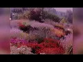 Muddy Monk - En Lea (slowed + reverb)