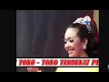 Download Lagu Terlalu Rindu - Devi Aldiva