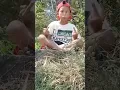 Download Lagu Cosplay Si Bolang😂#sibolang #trans7 #tiktok