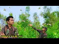 Download Lagu SAYA BONGKAR CARA MIKAT BURUNG BAGI PEMULA_100% DAPAT