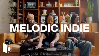Melodic House DJ Set in a New York Living Room alt-J Stavroz Riva Starr Bookshelf Sessions