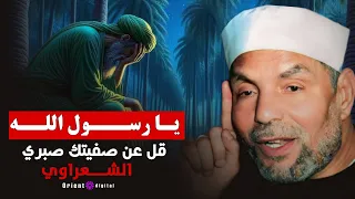 يا رسول الله قل عن صفيتك صبري دندنها