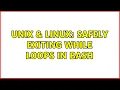 Unix Linux Safely exiting while loops in bash 2 Solutions