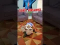 Download Lagu Sakit Pinggang Masih Kambuh, Coba Latihan Peregangan Ini.