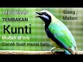 Download Lagu MASTERAN JERITAN KUNTILANAK .MUDAH DI TIRU MURAI BATU..!!CUNGKOK FUL ISIAN...