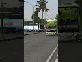 Download Lagu bus telolet basuri pinguin#shorts #bussimulatorindonesia
