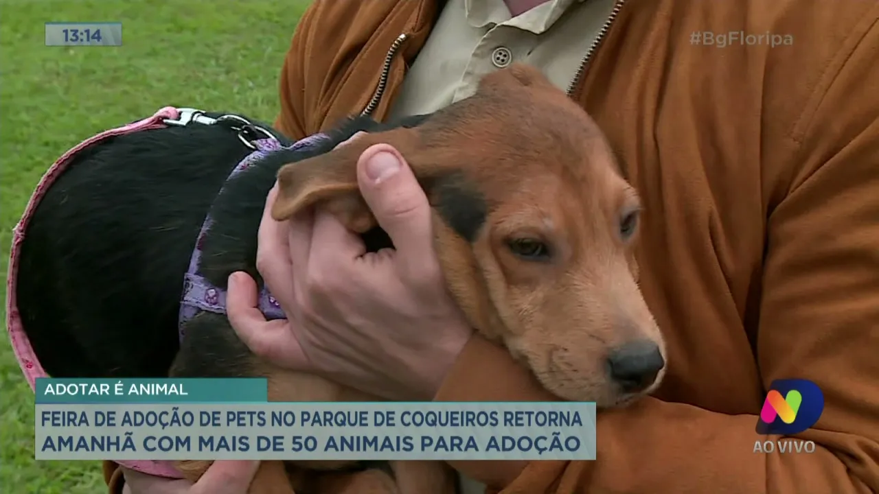 Feira de adoção de pets no Parque de Coqueiros retorna neste sábado