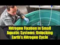 Nitrogen Fixation in Small Aquatic Systems Unlocking Earth s Nitrogen Cycle