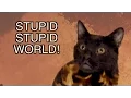 Talking Kitty Cat - Stupid Stupid World