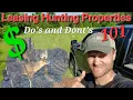 How to Lease Whitetail Hunting Property
