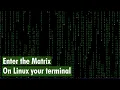 Enter the matrix on your terminal