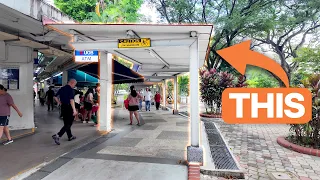Is This Peak Hot-Weather Urbanism? (Singapore)