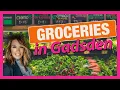Groceries in Gadsden Alabama