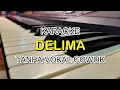 Download Lagu DELIMA KARAOKE DUET TANPA VOKAL COWOK