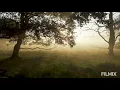 ILLUMINATI | MEDITATION  2.00 MINUTS MUSIC