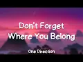 Download Lagu One Direction - Don't Forget Where You Belong (Lyrics)