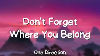 One Direction Don T Forget Where You Belong Lyrics 