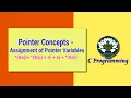 4 Pointer Concepts - Assignment of Pointer Variables