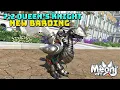 FFXIV Queen s Knight Barding - 7 2 New Barding