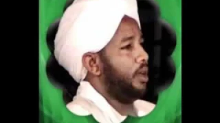 الشيخ الزين محمد احمد سورة الرعد الي طه 