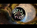 Jesse Royal - Life's Sweet  ( Lily of da Valley Album 2017 )
