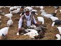 Delta Waterfowl February Migration Report