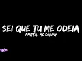 Download Lagu Anitta, MC Danny - Sei Que Tu Me Odeia (Letra/Legendado)