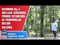 Download Lagu Ditawar Rp 3 Milliar Budidaya Pohon Istimewa Di Purworejo Belum Dilepas Download Lagu Ditawar Rp 3 Milliar Budidaya Pohon Istimewa Di Purworejo Belum Dilepas