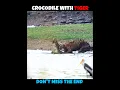 Download Lagu Crocodile vs Tiger \u0026 Lion #viralshorts #viralytshorts #shorts #animalshorts #ytshorts #wildlife