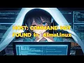 HOST COMMAND NOT FOUND in AlmaLinux