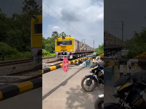 Furious Galloping Emu at Railgate #shorts