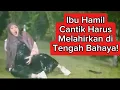 Download Lagu Review film: Ibu Hamil Cantik Harus Melahirkan di Tengah Bahaya!