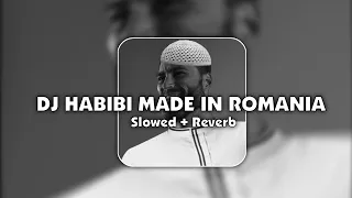 dj habibi made in romania slowed reverb