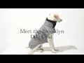 The Dog Coat Brooklyn Meet the Features