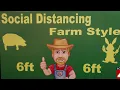 Spicer Farms on Live in the D