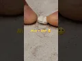 Life hack Easy Breaking pill in half
