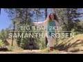 TRAVEL DIARY BIG BEAR SAMANTHA ROSEN