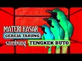 Lagu Ini Baru Masteran Cucak Ijo Mewah‼️Besetan \u0026 Roll Tembak Kasar Paling Dicari