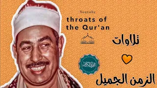 و ل ق د  ن ع ل م  أ ن  ك  ي ض يق  ص د ر ك  ب م ا ي ق ول ون    الشيخ محمد محمود الطبلاوي  تسجيل نادر دندنها