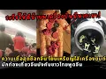 Download Lagu ความจริงที่ไม่มีใครกล้าพูด: พฤติกรรมนักท่องเที่ยวจีน และบาดแผลจากการปฏิวัติวัฒนธรรม