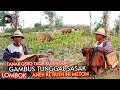 Download Lagu 🥎TANAK GERO TAOK KU TINDOK GAMBUS TUNGGAL SASAK LOMBOK ANEH KE RUEN NI METON