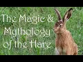 The Magic Mythology of the Hare