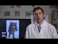 Know Your Meme Pedobear
