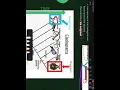 Cladogram Notes