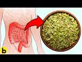 Here s Why You Need To Eat More Oregano