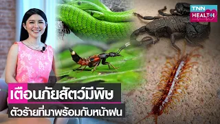ควรทำอย่างไรเมื่อโดนพิษแมลงก้นกระดก