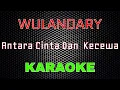 Wulandary - Antara Cinta Dan Kecewa [Karaoke] | LMusical