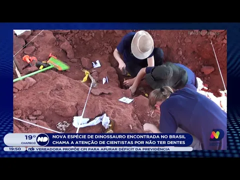 Nova espécie de dinossauro encontrada no Brasil chama a atenção de cientistas por não ter dentes